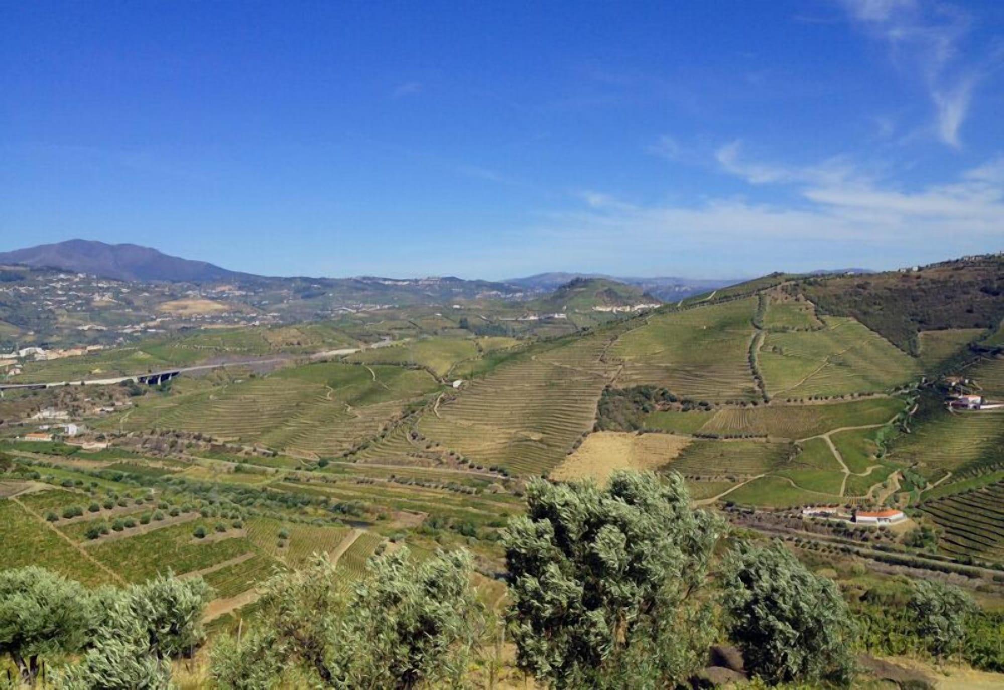 Quinta De Casaldronho Wine Hotel Lamego Buitenkant foto