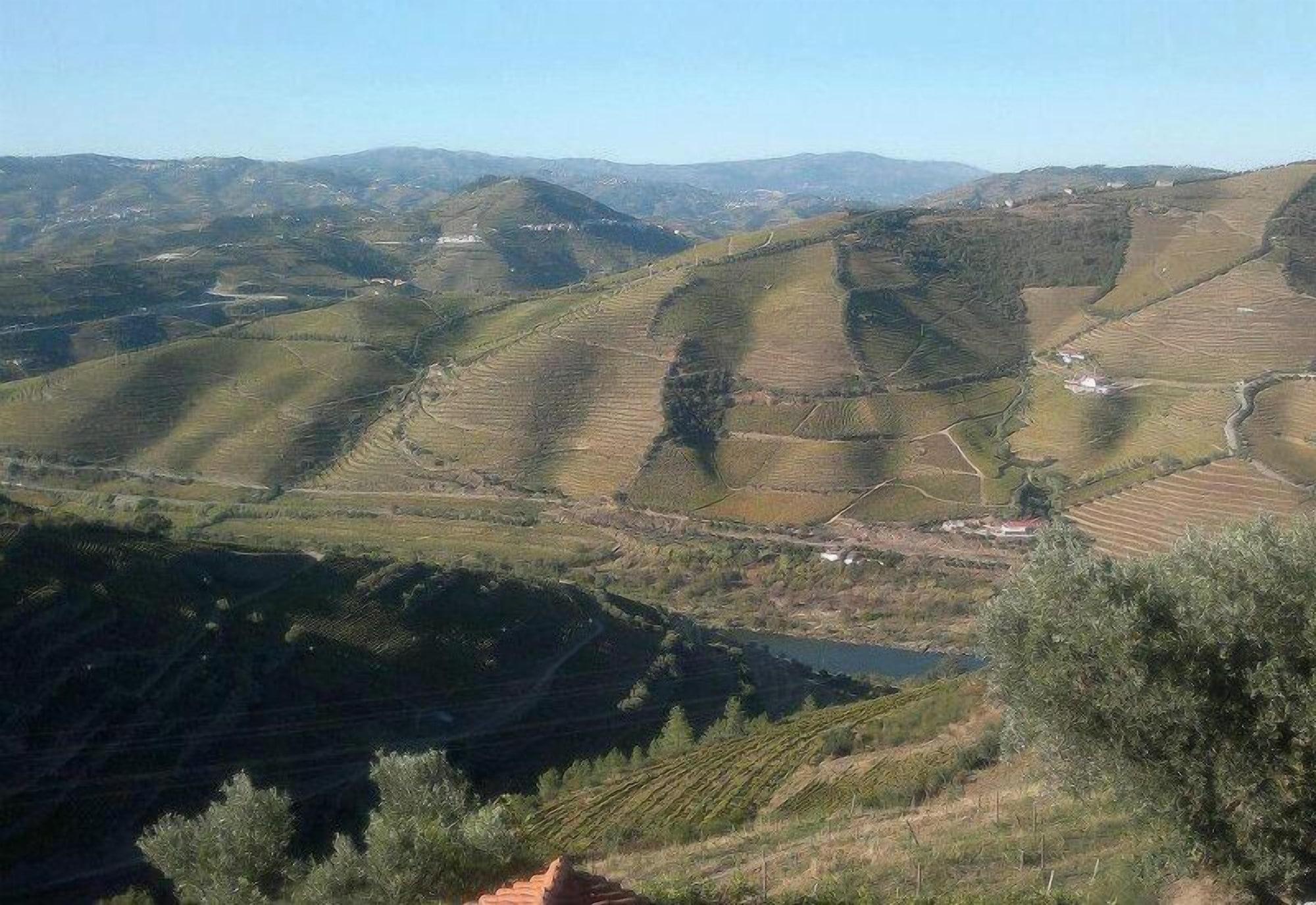 Quinta De Casaldronho Wine Hotel Lamego Buitenkant foto